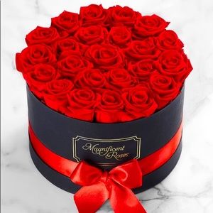 Meet your Posher, Trendynista